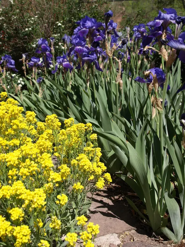 First day of May